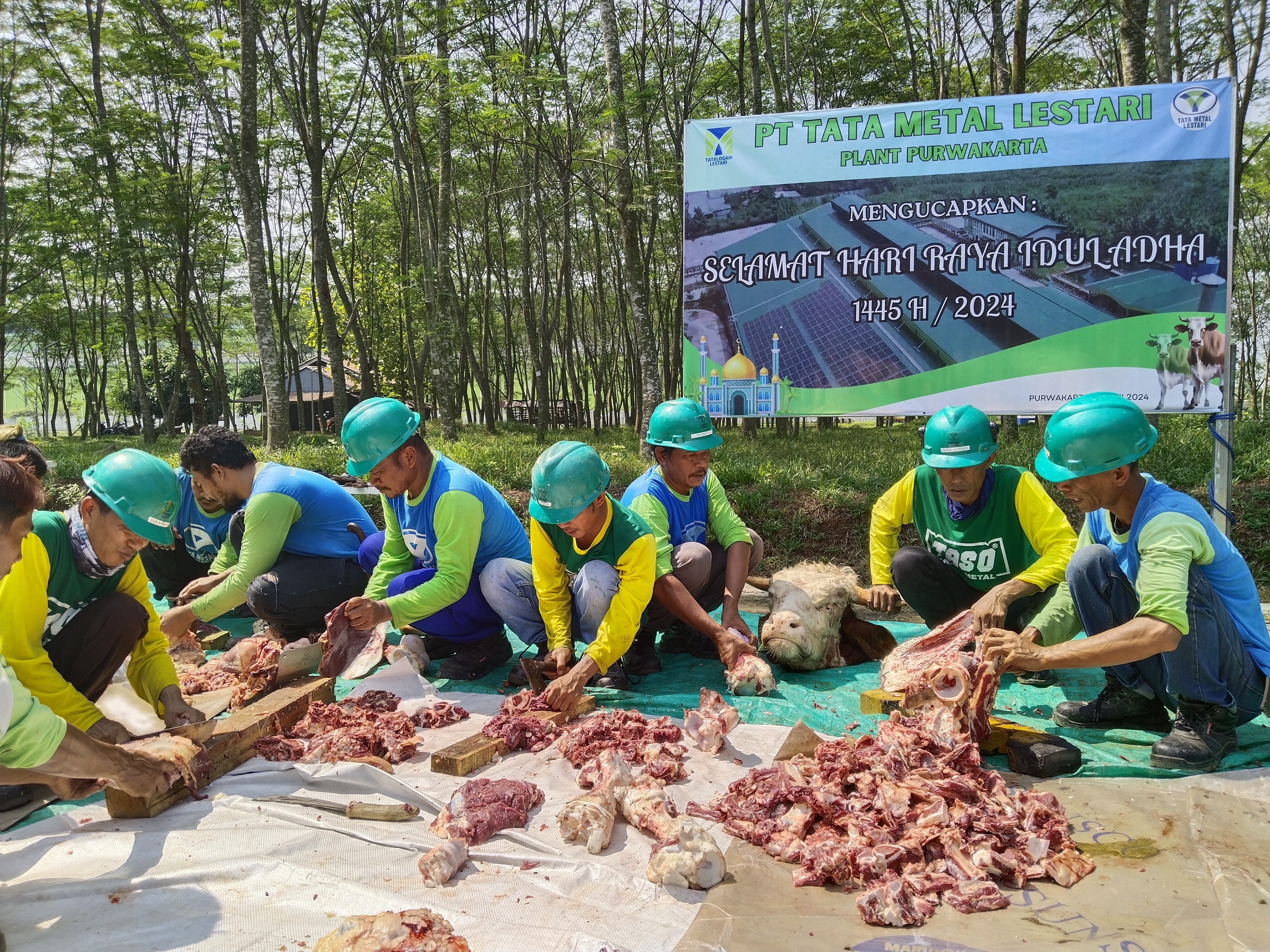 TML - Penyediaan Hewan Qurban (Sapi) Lebaran Idul Adha Tahun 2024